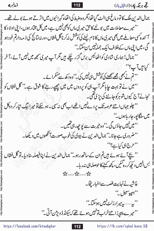 Tujhe Har Jagah Pukara by Iqbal Bano Famous Romantic Urdu Novel published on kitab ghar for online Urdu Novel Readers