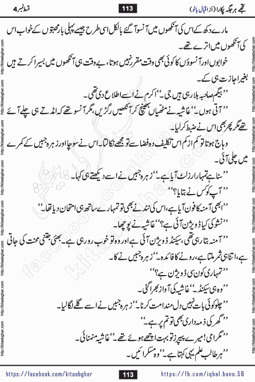 Tujhe Har Jagah Pukara by Iqbal Bano Famous Romantic Urdu Novel published on kitab ghar for online Urdu Novel Readers