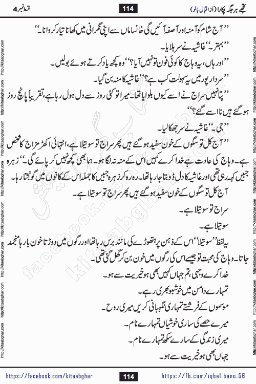 Tujhe Har Jagah Pukara by Iqbal Bano Famous Romantic Urdu Novel published on kitab ghar for online Urdu Novel Readers
