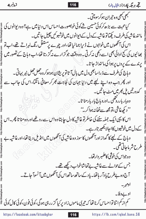 Tujhe Har Jagah Pukara by Iqbal Bano Famous Romantic Urdu Novel published on kitab ghar for online Urdu Novel Readers