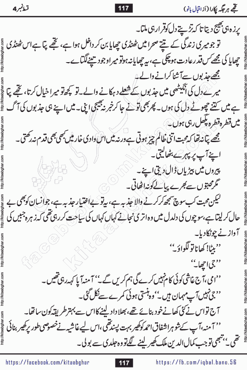 Tujhe Har Jagah Pukara by Iqbal Bano Famous Romantic Urdu Novel published on kitab ghar for online Urdu Novel Readers