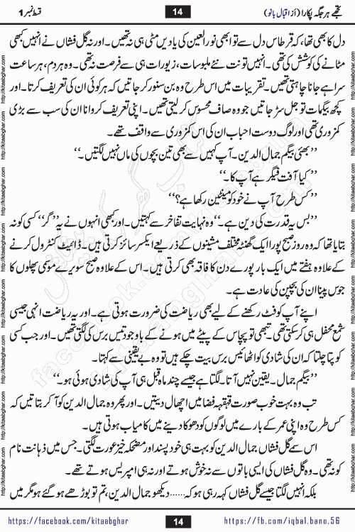 Tujhe Har Jagah Pukara by Iqbal Bano Famous Romantic Urdu Novel published on kitab ghar for online Urdu Novel Readers