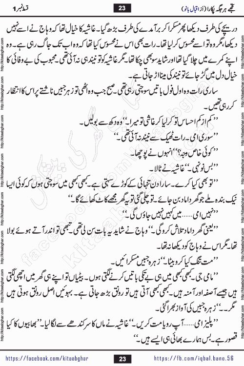Tujhe Har Jagah Pukara by Iqbal Bano Famous Romantic Urdu Novel published on kitab ghar for online Urdu Novel Readers