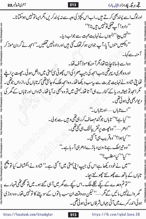 Tujhe Har Jagah Pukara by Iqbal Bano Famous Romantic Urdu Novel published on kitab ghar for online Urdu Novel Readers