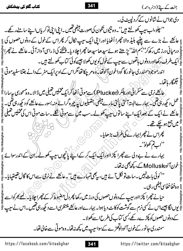 Jannat Ke Pattay by Nimra Ahmed Famous Romantic Urdu Novel published on Kitab Ghar, also available in Urdu Book Format