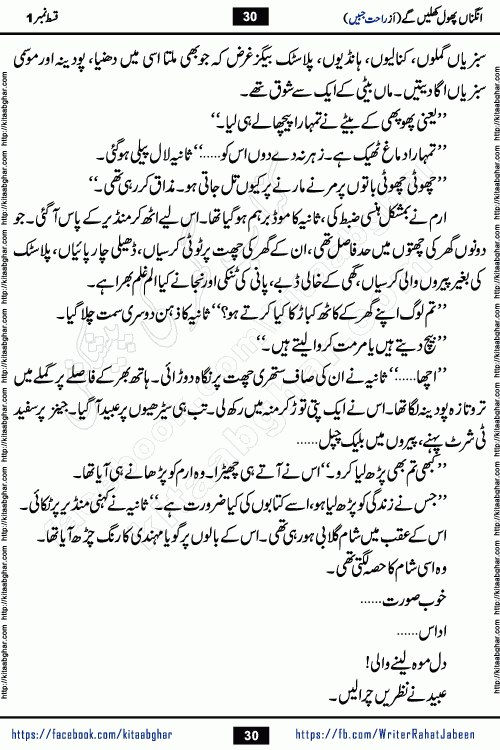 Angna Phool Khilenge episode 28 by Popular Writer Rahat Jabeen is a famous romantic urdu novel started on kitab ghar for urdu novel readers