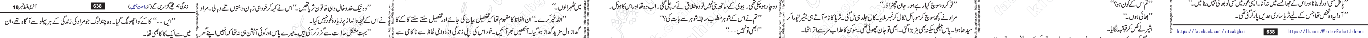 Zindagi Hum Tujhe Guzaren Ge last episode 17 & 18 Urdu Novel by Rahat Jabeen