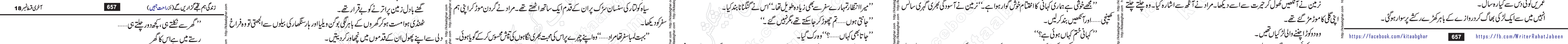 Zindagi Hum Tujhe Guzaren Ge last episode 17 & 18 Urdu Novel by Rahat Jabeen