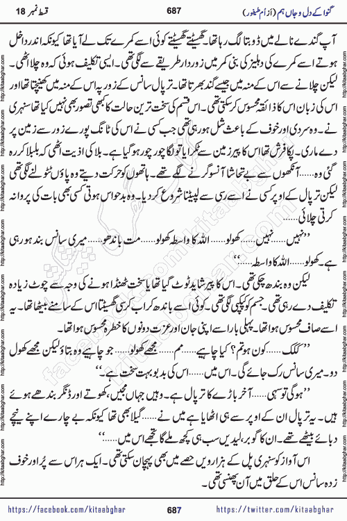Ganwa Ke Dil o Jaan Hum episode 19 Social Romantic Urdu Novel by Umme Taifoor published on Kitab Ghar